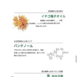 beautederm-Skin-Protection-Elixier-Essence