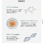 beautederm-Elixier-Skin-Repair-Cream