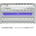 Calcium-light + white-tanning-dome-LED-light