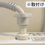 nanorism-02